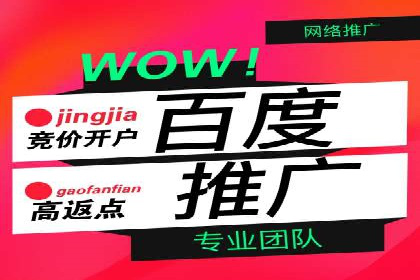 百度竞价账户管理工具推荐：实战案例与使用技巧